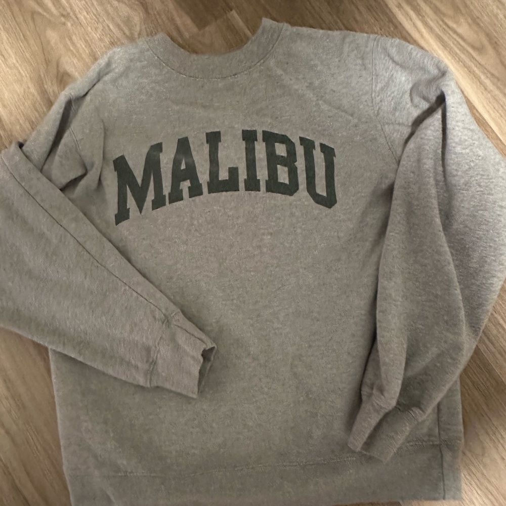 pacsun/brandy melville sweatshirt